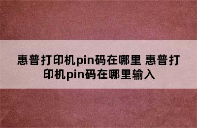 惠普打印机pin码在哪里 惠普打印机pin码在哪里输入